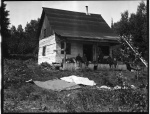 MacleodPeople1dollar079.jpg