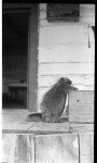 MacleodScenery1dollar001.jpg