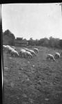 MacleodScenery1dollar005.jpg
