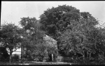 MacleodScenery1dollar033.jpg