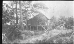 MacleodScenery1dollar041.jpg