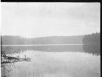 MacleodScenery1dollar050.jpg