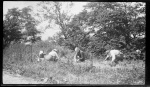 MacleodPeople10dollar088.jpg