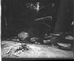 MacleodPeople5dollar007.jpg