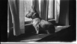MacleodPeople5dollar012.jpg