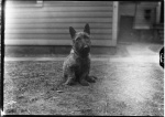 MacleodOther10dollar015.jpg